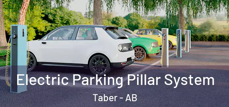  Electric Parking Pillar System Taber - AB
